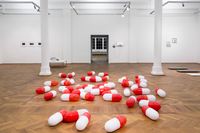 Foto: Etienne Dietzel, Gedächtnispillen, Jorge Sánchez Di Bello, Flow Ausstellung Burg Galerie im Volkspark Halle, 2018.